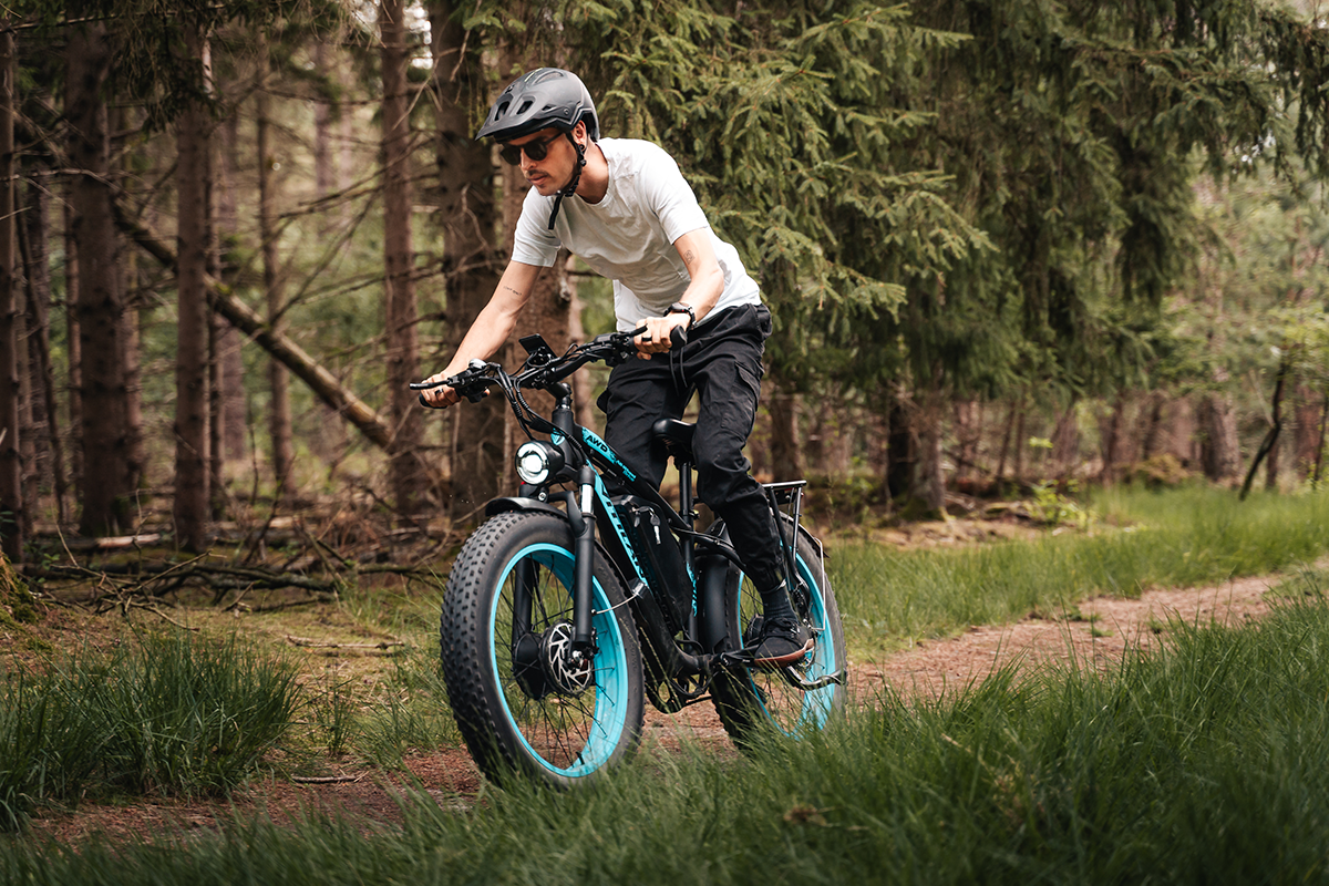 Vitilan H5 Dual Motor Fat Tire Electric Bike