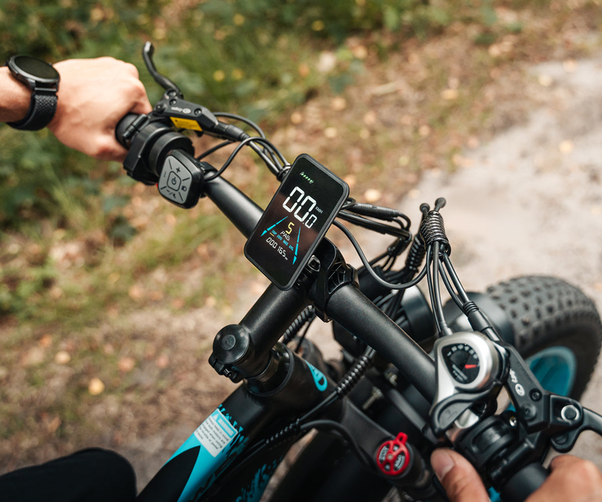 Vitilan H5 Dual Motor Fat Tire Electric Bike